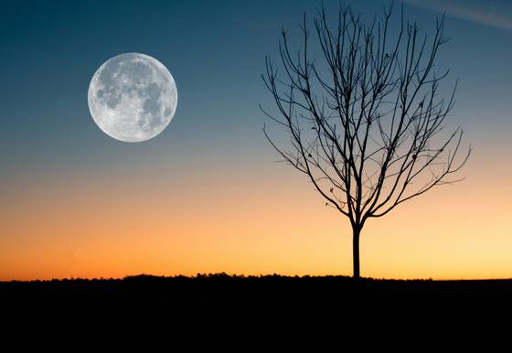 Moon Rising In Evening wallpaper for iPad Pro 11-inch (2420x1668)